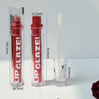 Tubes de brillant à lèvres vides, conteneurs personnalisés de luxe à double paroi avec bouchon à vis en ABS PETG, emballage cosmétique à chaud avec applicateur