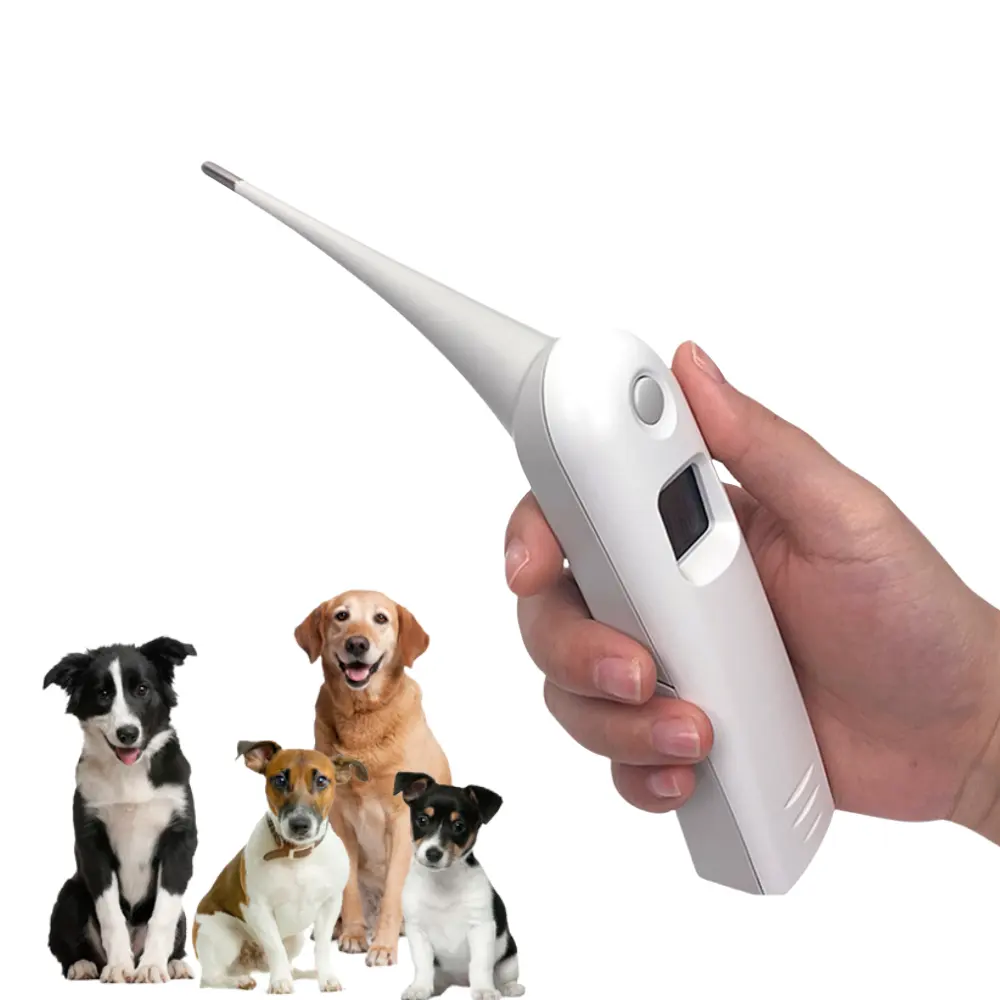 スマートF獣医最高の獣医機器犬猫馬豚と牛を測定するためのデジタル獣医温度計