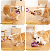 Jouet pour chien en TPR avec anneau de traction, pour le nettoyage des dents molaires, jouet interactif à mâcher, vente en gros