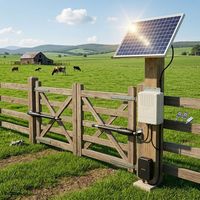 Système d'automatisation SW300DC, ouvre-porte automatique électrique à énergie solaire, alimenté par batterie, Wifi, DC, pour portail battant, 300 kg