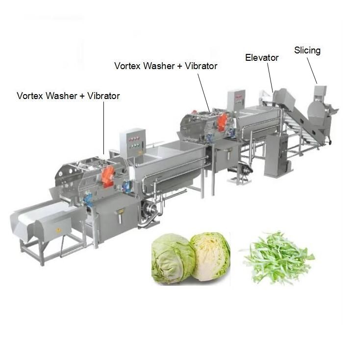 1000kg/hr Vegetable Processing Line - Full Automation