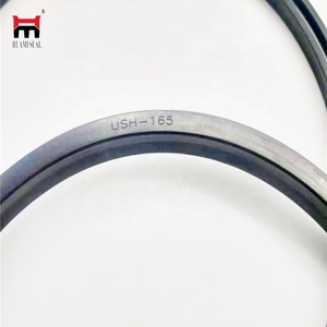 ซีลน้ำมันไฮดรอลิก USH 165*180*9 ของโรดซีล - Product Image 1