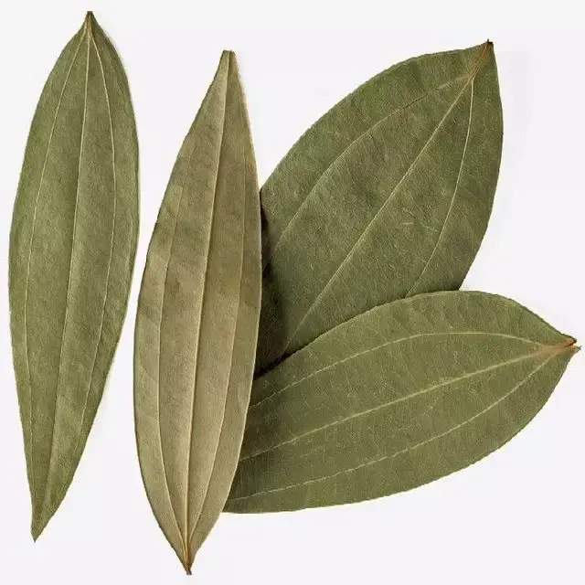 High Quality Bay Leaf Tej Patta Indian Spices and Herbs