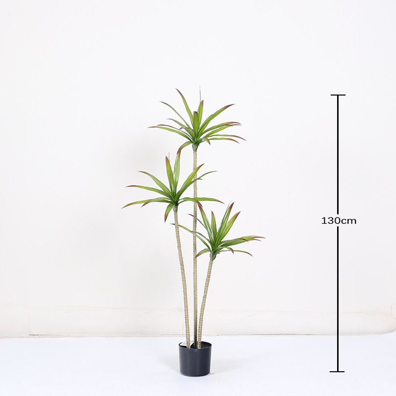 Plante miniature en pot d'agave 130 cm
