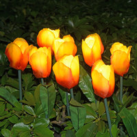 QL375 vente en gros haute qualité LED Simulation tulipe lanterne paysage extérieur Rose jardin tulipe fleur jardin paysage lumière