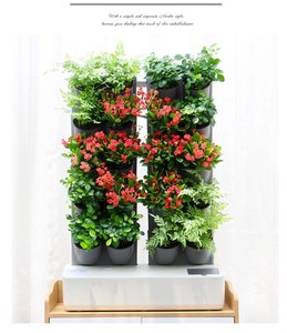 Pieno elettronico automatico di irrigazione doppia fila Mini pianta - Product Image 2