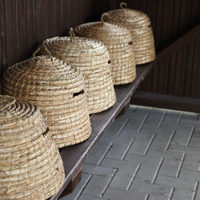 Esschert Design Einfach Schnell Preiswert Leicht Leicht zu bewegen Hand gewebter Stroh bienenstock, Bienen haus