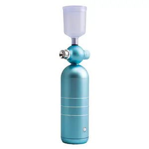 personal care mini airbrush compressor oxygen injector facial nano sprayer gun beauty appliances