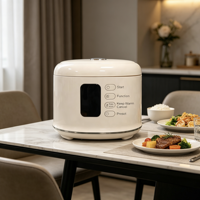 Cuisinière à riz multifonctionnelle de grande capacité (5 litres) avec affichage numérique LED, fonction minuterie, en acier inoxydable 304 pour la maison, les cuisines de camping-cars