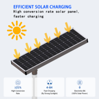 Farola LED Solar DC de 6W, IP66, Certificación CCC, CE, RoHS, Batería Lifepo4, Aluminio, Garantía de 5 Años, para Carreteras, Jardines, Paredes