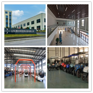 TONGCAI Luxury Explore Prices Golf Carts <strong>Electric</strong> <strong>Single</strong> Seat Vintage Lithium 72v Battery Mini Motor 4 <strong>Seater</strong> <strong>Car</strong> for Sale - Product Image 5