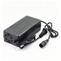 High Performance 48V 5A Li-ion Battery Charger for YOZMA in 10 Electric Motorcycle Power Adapter Durable Fast Charging Device