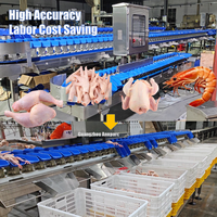 Automatische Weegschaal Sorteermachine SUS304 Garnalen Kip Vis Fruit Sorteerapparatuur 8000 stuks/uur Hoge Precisie Sorteerder