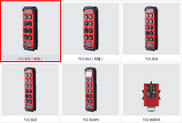 Double télécommande sans fil pour grue, radiocommandé sy OHM