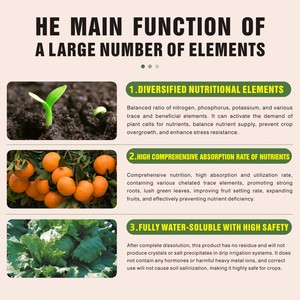 <span class=keywords><strong>Engrais</strong></span> agricole organique à haute concentration pour légumes et fleurs, azote, phosphore et potassium en poudre - Product Image 6