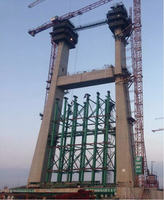 Système de coffrage automatique autoportant économique Waco pour la construction de murs de cisaillement résidentiels