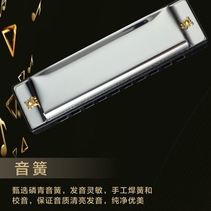 Armónica Feifan de 10 Orificios en Clave de Do, Instrumento de Blues para Niños Principiantes, Educación Temprana, Música de Viento - Product Image 3