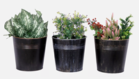 Pot de fleurs cylindrique en métal galvanisé noir vieilli et blanchi, avec doubles bandes côtelées, style rustique vintage