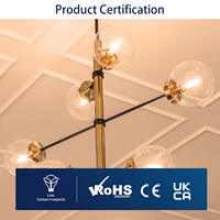 Ampoule à filament LED T22 E14 Mini Globe avec corps en verre 2W 220V-240V 2700K certifié RoHS Garantie de 2 ans pour un usage résidentiel