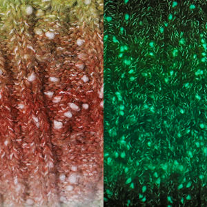 Pull et écharpe en fil tricoté à la mode pour femmes - Product Image 3