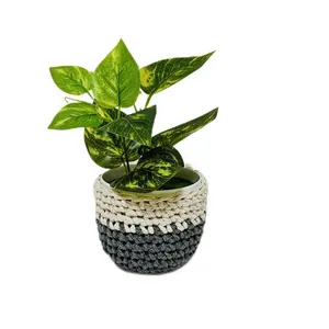 Macrame trang trí MASON lọ Crochet bìa cho nến người giữ thủy tinh macrame Vase bọc