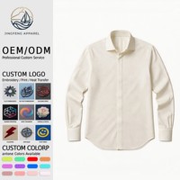 Chemise habillée formelle pour homme à manches longues, 100% coton égyptien, tissage Dobby, avec logo personnalisé, texture, vente en gros
