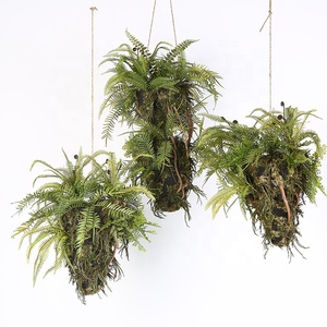 Plante de Fougère artificielle Pour La Maison Décoration De Mariage Simulé Herbe Suspendue - Product Image 6