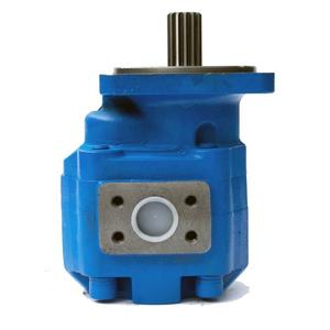 Pompe à engrenages hydraulique P3160 11C0007 Bleue Pièce de rechange OEM pour système hydraulique de chargeuse sur pneus - Product Image 1