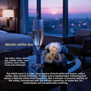 Diffuseur d'arômes sans flamme Fanhe en rotin, huile essentielle végétale 120 ml, parfum longue durée, désodorisant et assainisseur d'air pour toilettes - Product Image 6