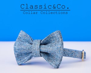 Ensemble de collier de sécurité pour chaton en velours bleu tweed avec nœud papillon, boucle gravée personnalisée et étiquette nominative – Cadeau pour mâle - Product Image 3