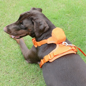 Set di guinzagli per cani di grossa taglia regolabili di qualità OEM set di guinzagli per cani riflettenti personalizzati senza trazione con <span class=keywords><strong>nome</strong></span> personalizzato - Product Image 4