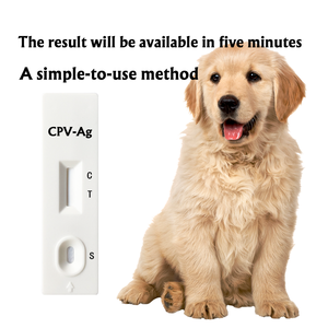 Kit de test rapide pour la détection des parasites du sang Anaplasma Ehrlichia chez les chiens Instrument vétérinaire pour les soins des animaux de compagnie CPV-Ag CCV/CDV/CPV - Product Image 4