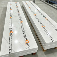 Dekor-Optik Spezielles Neues Design Acryl-Kunststoffplatte für Arbeitsplatten