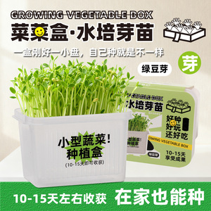 Kit de culture hydroponique de blé vert pour enfants, récolte en 10-15 jours, plantation intérieure - Product Image 2