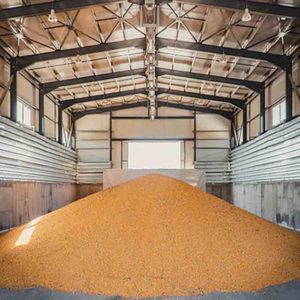 Entrepôt de stockage de maïs à structure en acier modulaire, bâtiment agricole à ossature métallique, grange à blé plate, personnalisable de 4000 à 15000 tonnes - Product Image 6