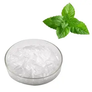 High quality cooling agent peppermint extract crystal menthol powder 99% cas 89-78-1