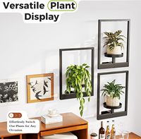 Lot de 3 grands pots suspendus modernes et étagères de fenêtre pour usage intérieur/extérieur au sol