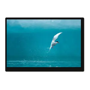 400 cd/m2 yüksek parlaklık yüksek kontrast lcd 7 inç 1280x800 tft lcd ekran panel modülü ekran denetleyici kurulu