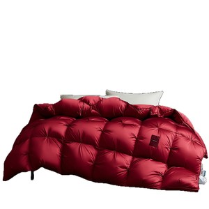 1688  95% 200x230cm - Product Image 5