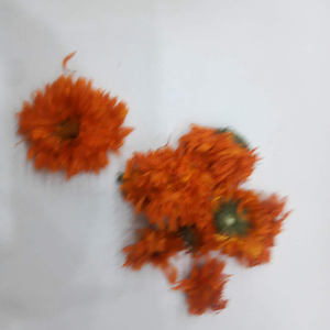 Fleur de souci écossais naturelle de couleur <span class=keywords><strong>orange</strong></span> séchée entière fleurs de souci communes pour le thé - Product Image 6