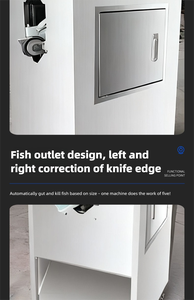 Máquina Procesadora de Pescado de Acero Inoxidable con Operación Manual y Componentes Centrales de Motor para un Manejo Eficiente del Pescado - Product Image 6
