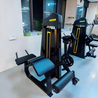Machine professionnelle de musculation des jambes 2 en 1 pour usage commercial en salle de sport, extension et flexion des jambes
