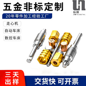 ชิ้นส่วนเครื่องจักรกลทองเหลือง เส้นผ่านศูนย์กลาง 100 มม. เครื่องกลึง CNC งานกลึงละเอียด ฮาร์ดแวร์ที่ไม่ได้มาตรฐาน - Product Image 5