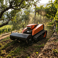 Broyeur à fléaux télécommandé diesel 4 temps 420cc de qualité industrielle pour applications agricoles