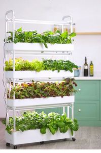 Home Use Vegetable Fruit Flower Hydroponic System Irrigation&hydroponics Equipment - Product Image 4
