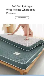 Customized High-Density Sponge Mattresses For Home Furniture Tatami Mats Included