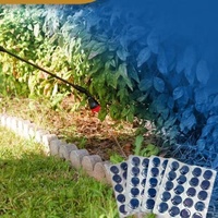 Comprimés d'herbe à colorant en spray bleu et ensemble de tensioactifs produits chimiques ménagers multi-usages pour indicateur et marquage de pelouse