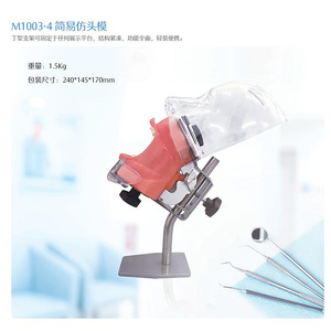 แบบจำลองหัวสำหรับการสอนทางทันตกรรม แบบถอดประกอบได้ สำหรับฝึกการเตรียมฟันและอุปกรณ์บำบัดช่องปาก - Product Image 4