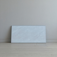 Carrelage de porcelaine épaissie robuste 300x600mm antidérapant étanche bord rectifié mur de salle de bain mur en céramique de qualité commerciale