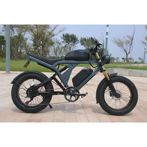 V20 Vélo Électrique le Plus Rapide en Stock 250W 750W 1000W Ebike 25km/h Fabricants de Vélos Électriques en Chine - Product Image 6